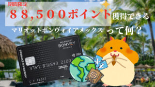 子連れ宿泊記 リッツ カールトン日光で過ごす０歳赤ちゃんとの休日 ブログ ほのぼの旅とゆるゆる子育て
